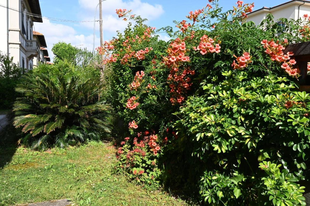 Villa Mehari Pisa Esterno foto