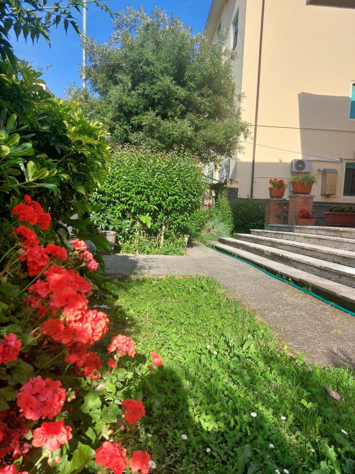 Villa Mehari Pisa Esterno foto