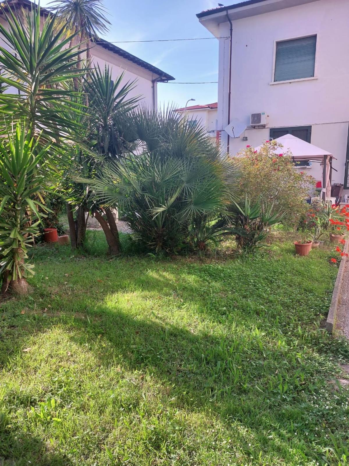Villa Mehari Pisa Esterno foto