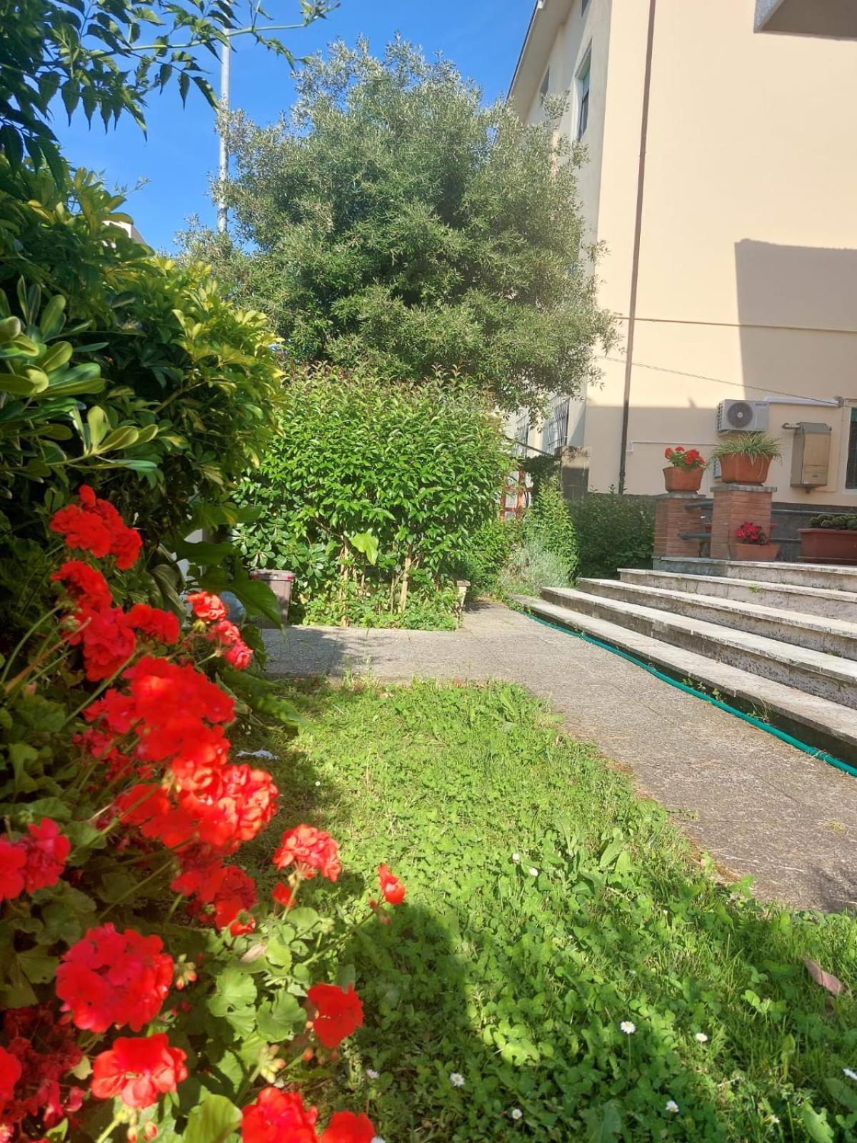 Villa Mehari Pisa Esterno foto